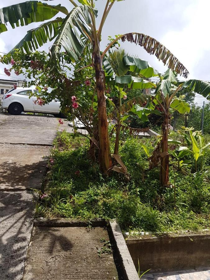 F1 Studio Martinique Guinee-Fleury Luaran gambar
